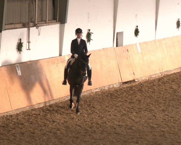Reitturnier Datteln - Dressur-Late-Entry 2024