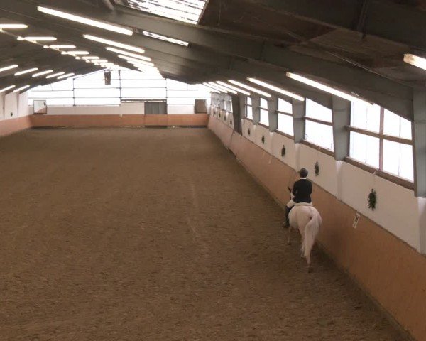 Reitturnier Datteln - Dressur-Late-Entry 2024