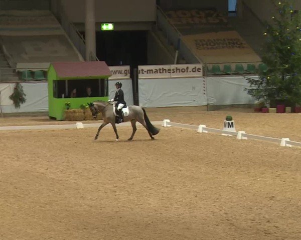 Reitturnier Kreuth/Opf. 2024