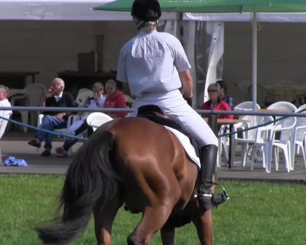 Reitsporttage an der Führser Mühle 2013