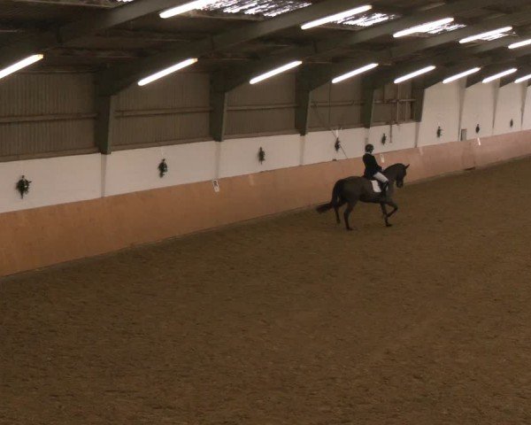 Reitturnier Datteln - Dressur-Late-Entry 2024