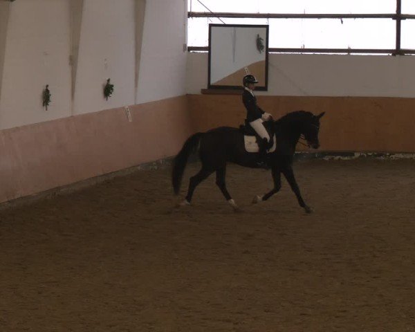 Reitturnier Datteln - Dressur-Late-Entry 2024