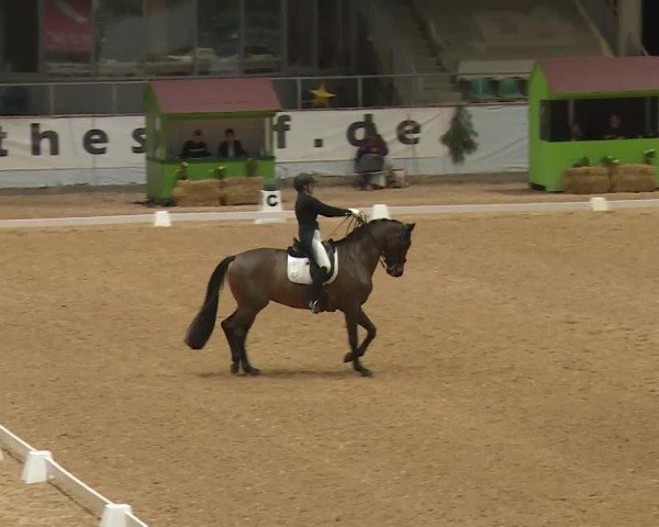 Reitturnier Kreuth/Opf. 2024