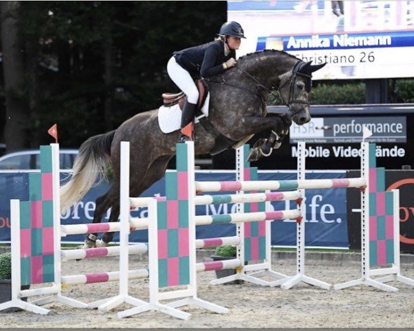 stallion Christiano 26 (German Sport Horse, 2015, from Christian 25)