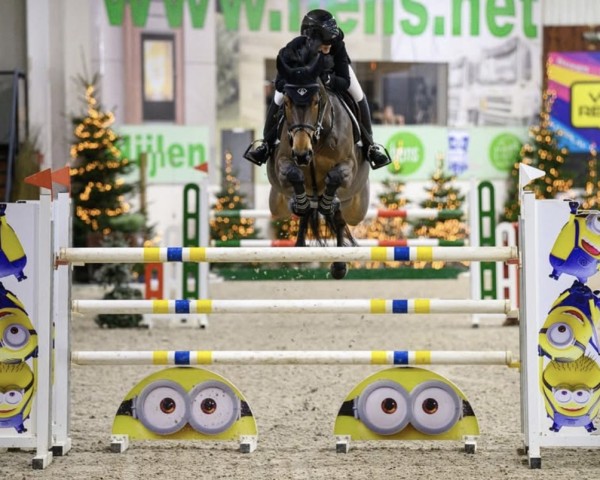 jumper Melita (KWPN (Royal Dutch Sporthorse), 2017, from Carrera VDL)