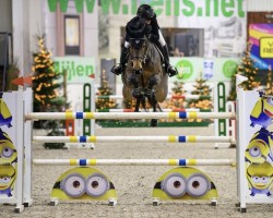 jumper Melita (KWPN (Royal Dutch Sporthorse), 2017, from Carrera VDL)