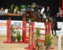 jumper Charly G 5 (Mecklenburg, 2018, from Crusoe 5)