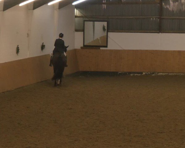 Reitturnier Datteln - Dressur-Late-Entry 2024