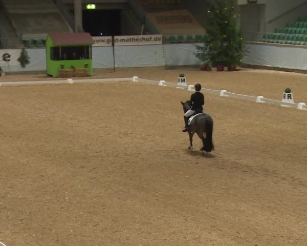 Reitturnier Kreuth/Opf. 2024