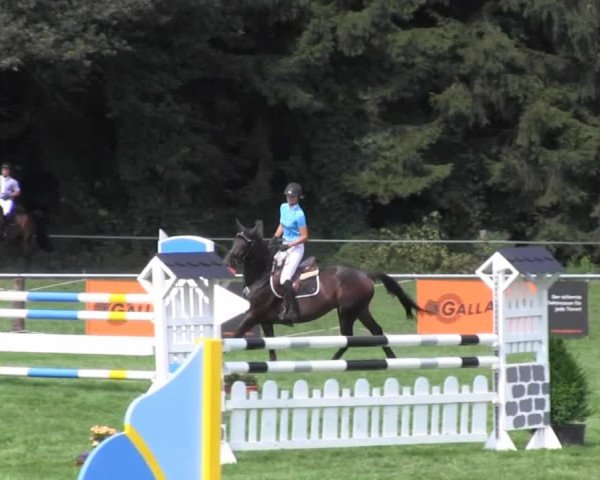 Reitturnier Nienburg 2013