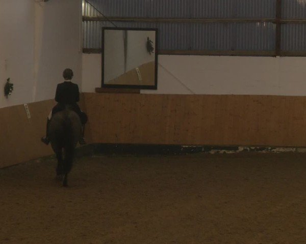 Reitturnier Datteln - Dressur-Late-Entry 2024