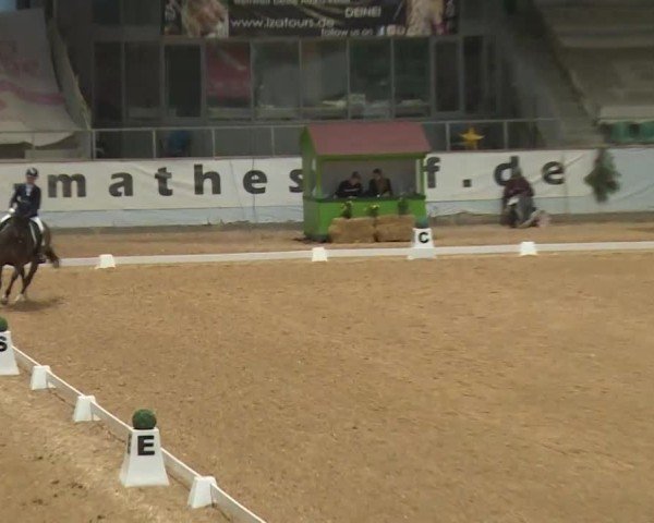 Reitturnier Kreuth/Opf. 2024