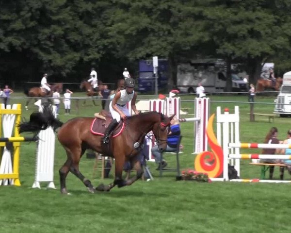Reitsporttage an der Führser Mühle 2013