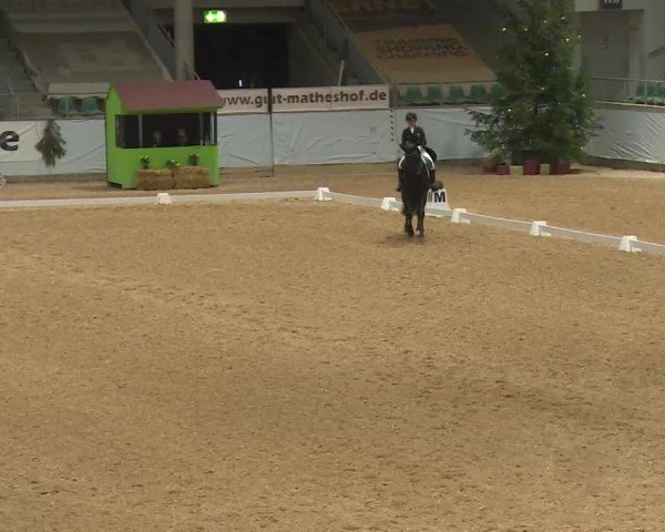 Reitturnier Kreuth/Opf. 2024