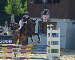 jumper Raymonds Gateaway xx (Thoroughbred, 2015, from Getaway xx)