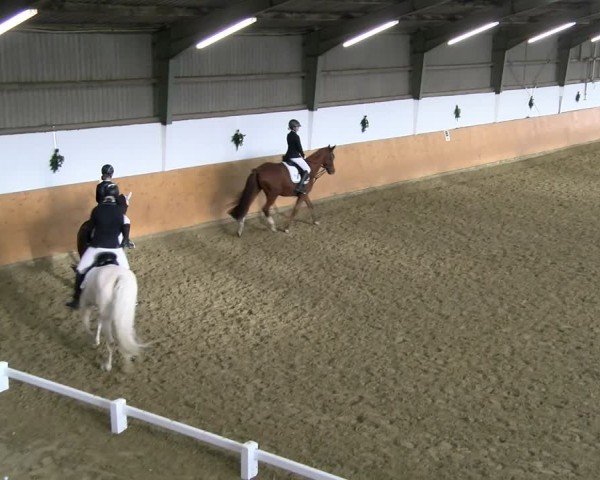 Reitturnier Datteln - Dressur-Late-Entry 2024