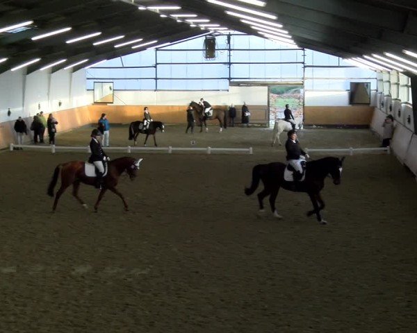 Reitturnier Datteln - Dressur-Late-Entry 2024