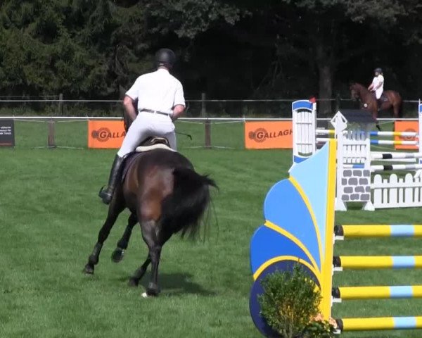 Reitturnier Nienburg 2013