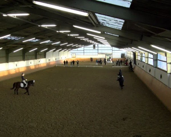 Reitturnier Datteln - Dressur-Late-Entry 2024
