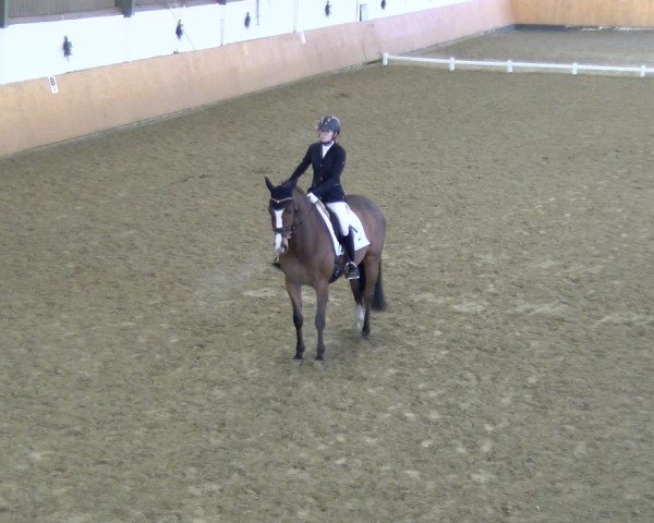 Reitturnier Datteln - Dressur-Late-Entry 2024