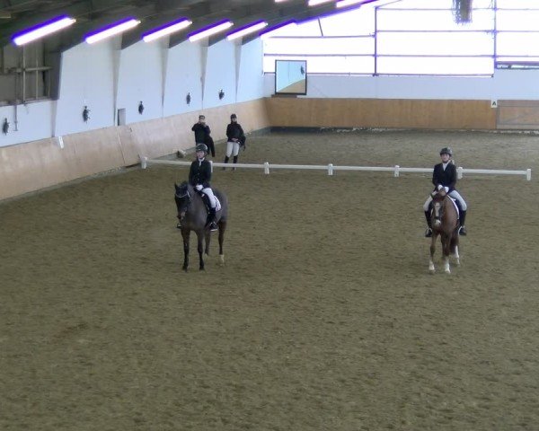 Reitturnier Datteln - Dressur-Late-Entry 2024
