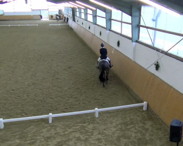 Reitturnier Datteln - Dressur-Late-Entry 2024