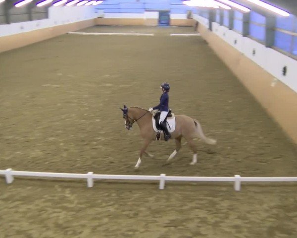 Reitturnier Datteln - Dressur-Late-Entry 2024