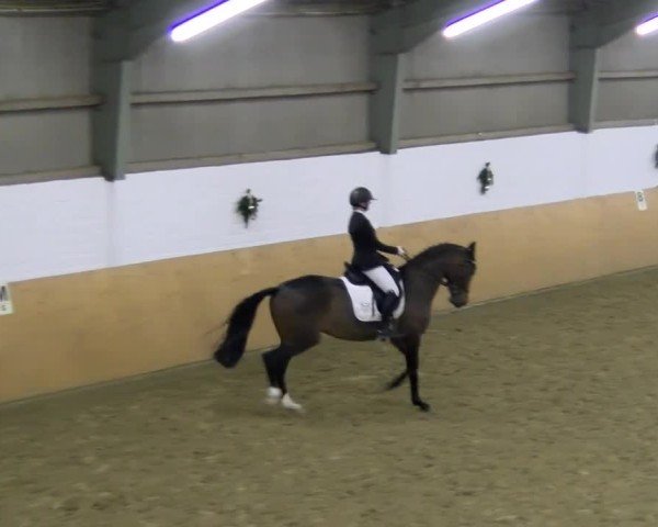 Reitturnier Datteln - Dressur-Late-Entry 2024
