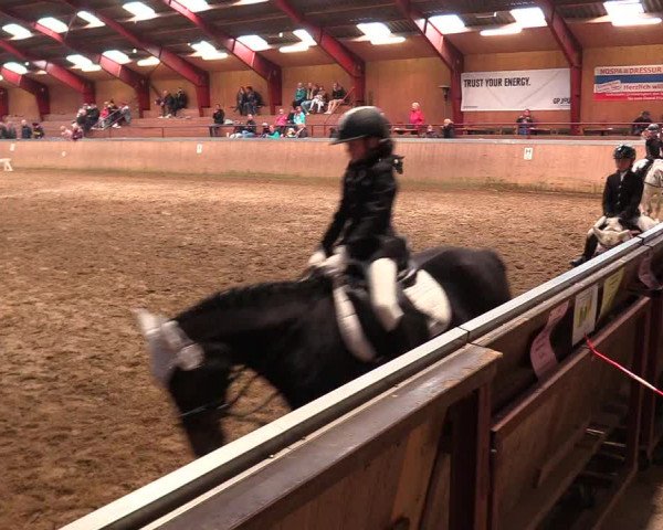 Reitturnier Behrendorf 2021