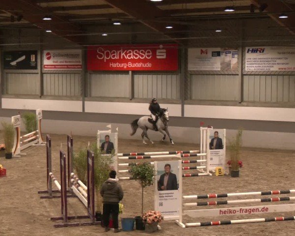 Reitturnier AZL Luhmühlen 2024