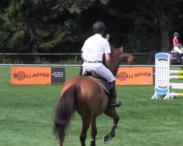 Reitturnier Nienburg 2013
