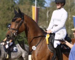 jumper Iquitos F (German Sport Horse, 2018, from Iberio)