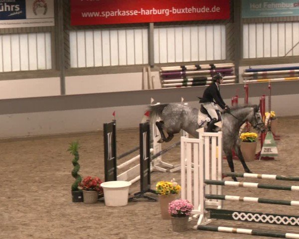 Reitturnier AZL Luhmühlen 2024