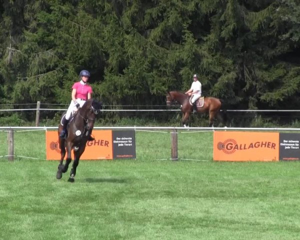 Reitsporttage an der Führser Mühle 2013