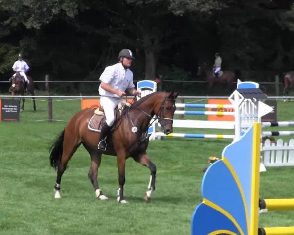 Reitturnier Nienburg 2013