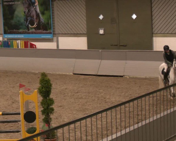 Reitturnier AZL Luhmühlen 2024