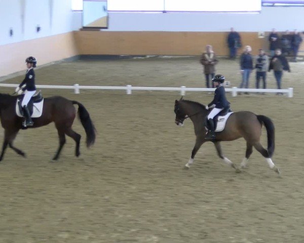 Reitturnier Datteln - Dressur-Late-Entry 2024