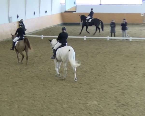 Reitturnier Datteln - Dressur-Late-Entry 2024
