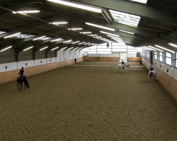 Reitturnier Datteln - Dressur-Late-Entry 2024