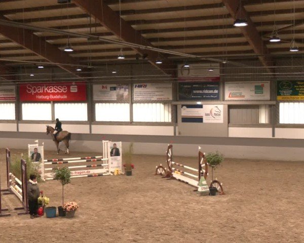 Reitturnier AZL Luhmühlen 2024