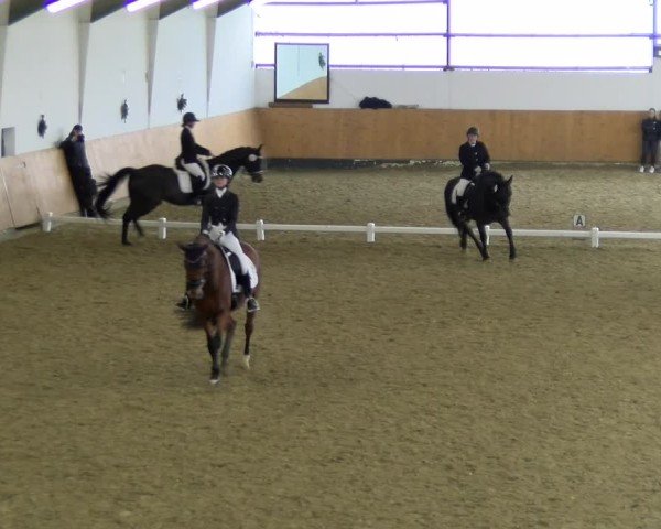 Reitturnier Datteln - Dressur-Late-Entry 2024