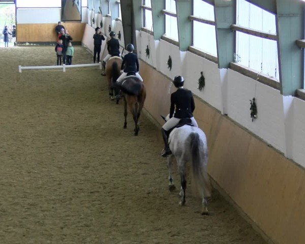 Reitturnier Datteln - Dressur-Late-Entry 2024