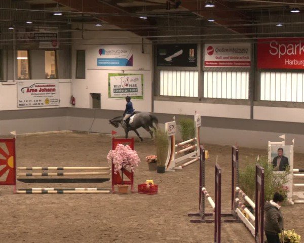 Reitturnier AZL Luhmühlen 2024