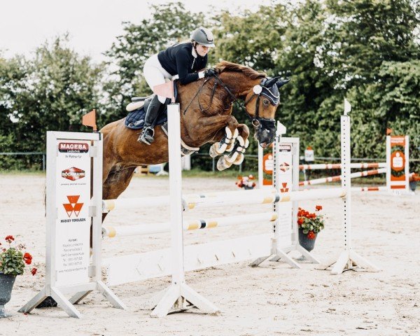 broodmare Charlotts Columbia CH (Rhinelander, 2010, from Chris Grandios)