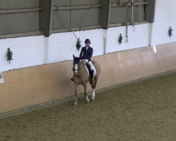 Reitturnier Datteln - Dressur-Late-Entry 2024