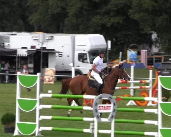 Reitsporttage an der Führser Mühle 2013