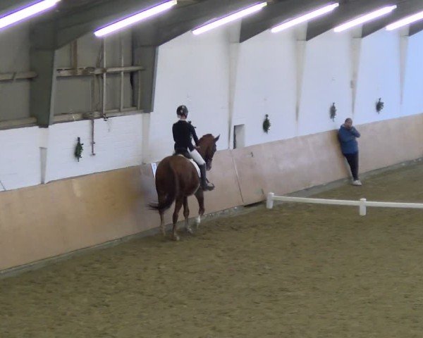 Reitturnier Datteln - Dressur-Late-Entry 2024