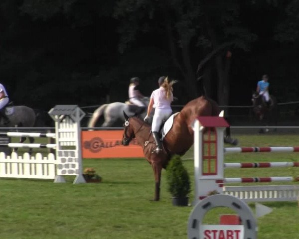 Reitsporttage an der Führser Mühle 2013
