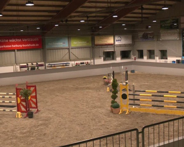 Reitturnier AZL Luhmühlen 2024