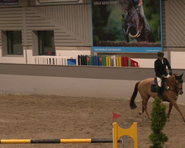 Reitturnier AZL Luhmühlen 2024